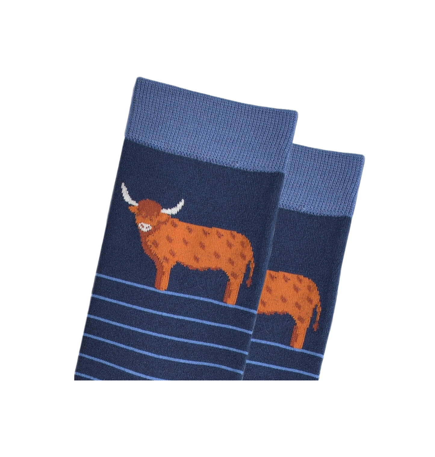 Highland Cow Blue Stripe – Herren Socken
